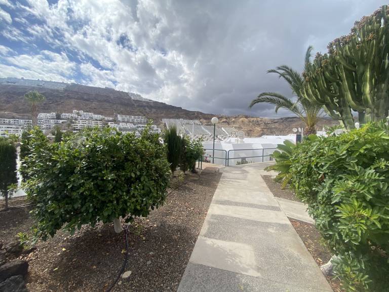 foto48