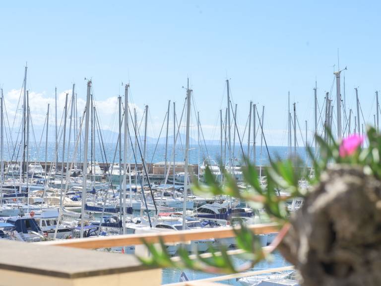 foto1