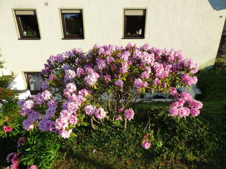 foto18