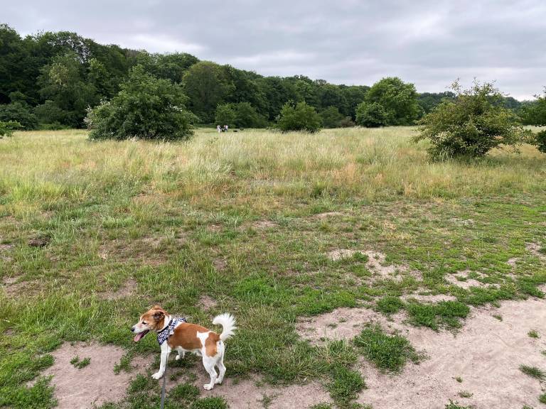 foto13