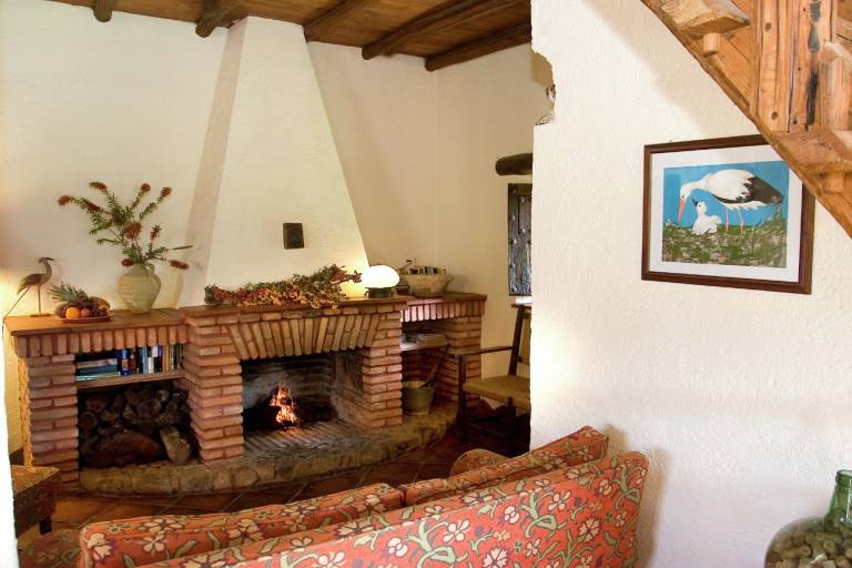 foto8