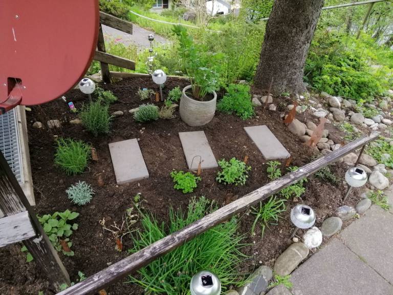 foto26