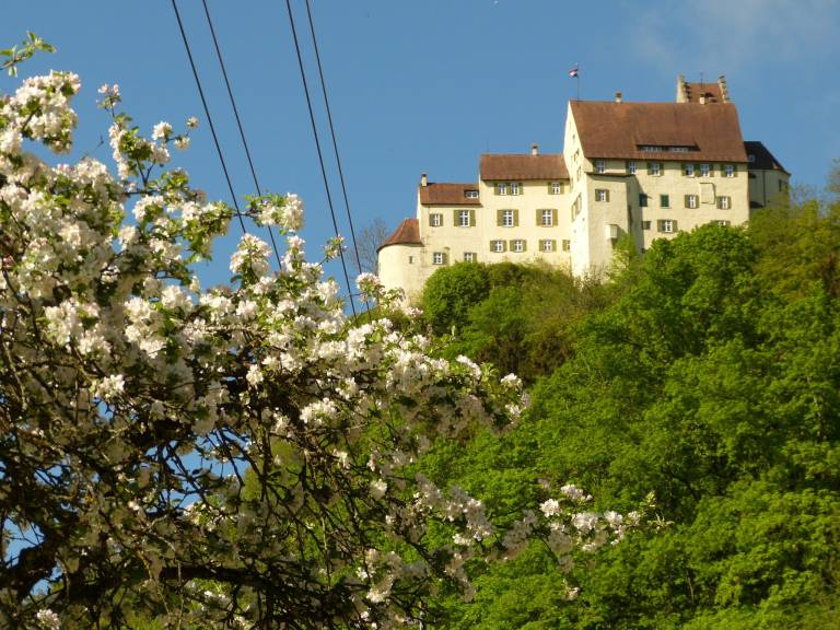 foto14
