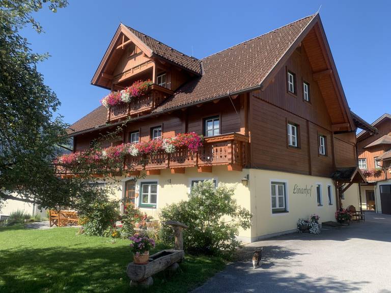 foto16