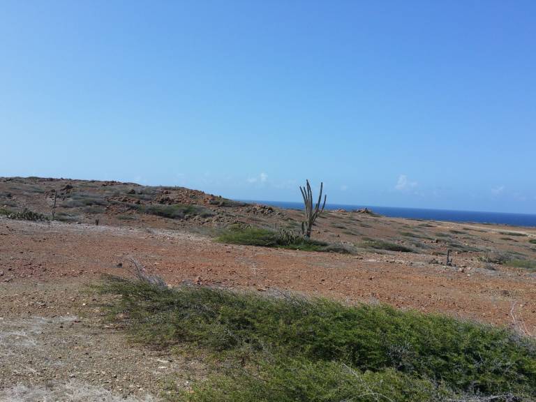 foto2