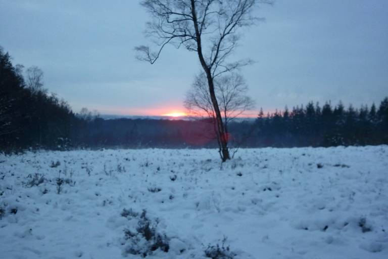 foto12