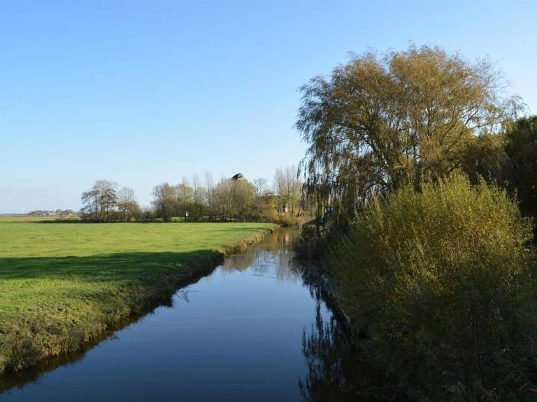 foto11