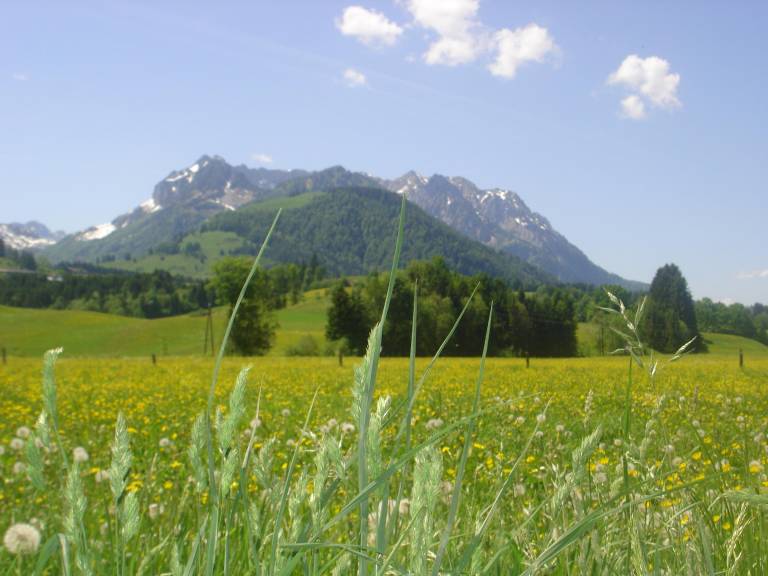 foto2