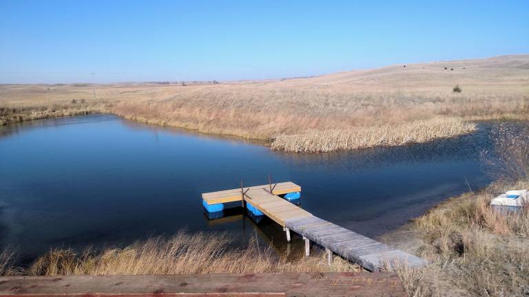 Cabin Wood Lake