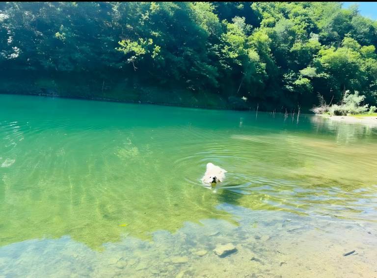 foto43