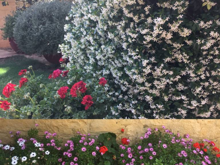 foto62