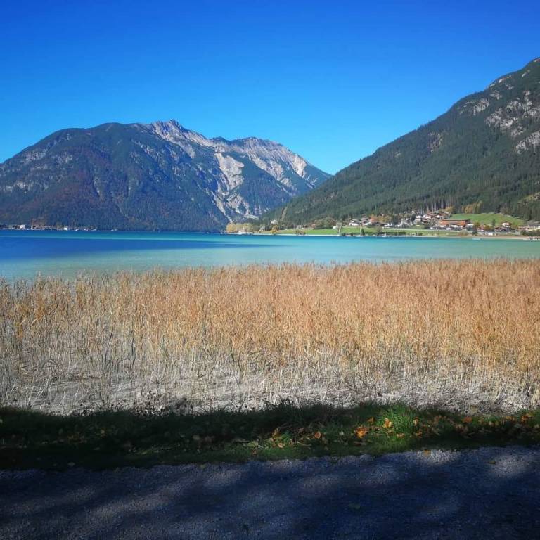 foto12