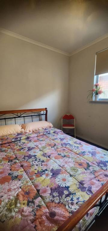 foto10