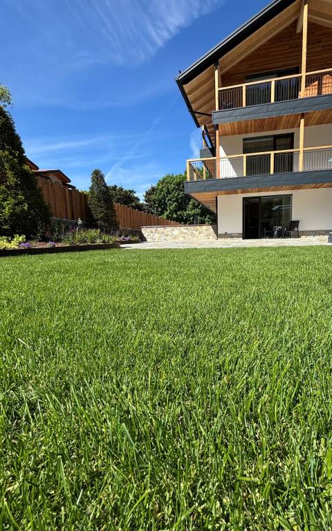 foto22