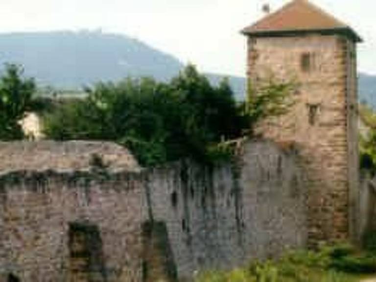 foto15