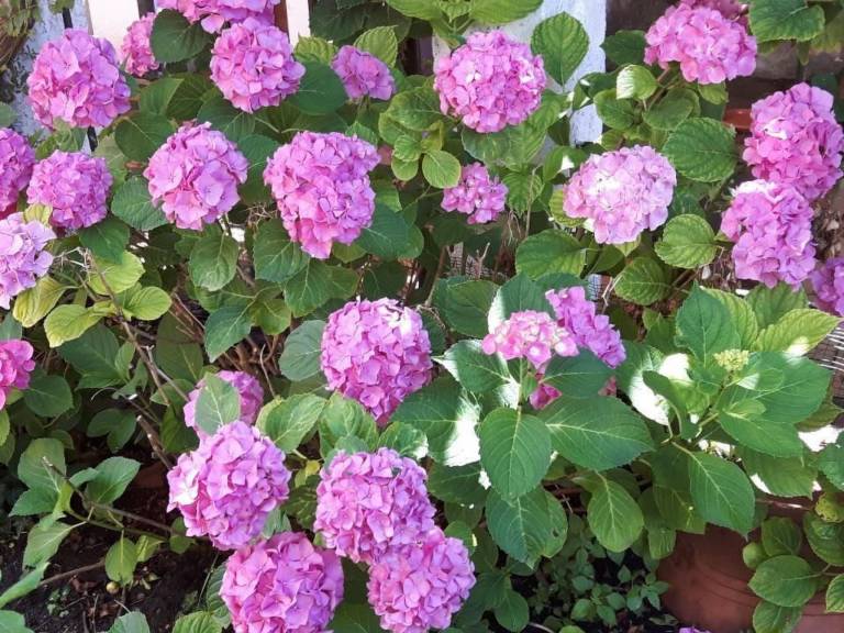 foto20