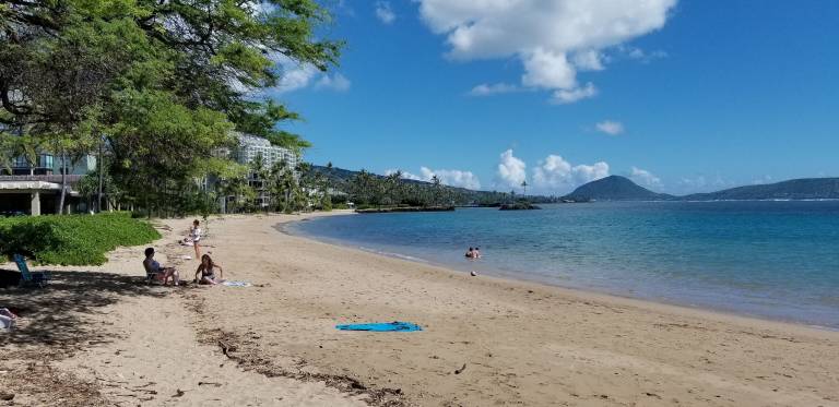Cabin Waialae - Kahala