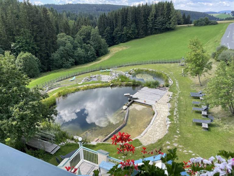 foto31