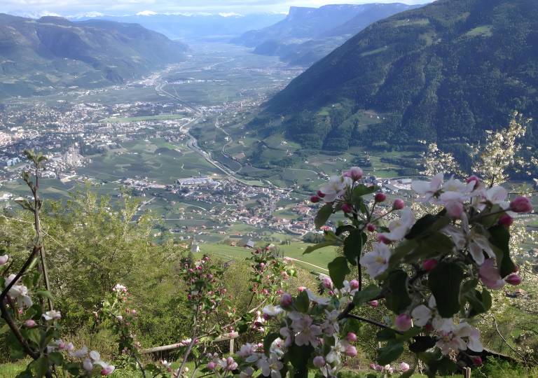 foto19