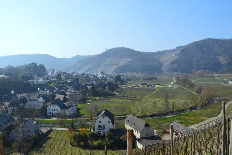foto36