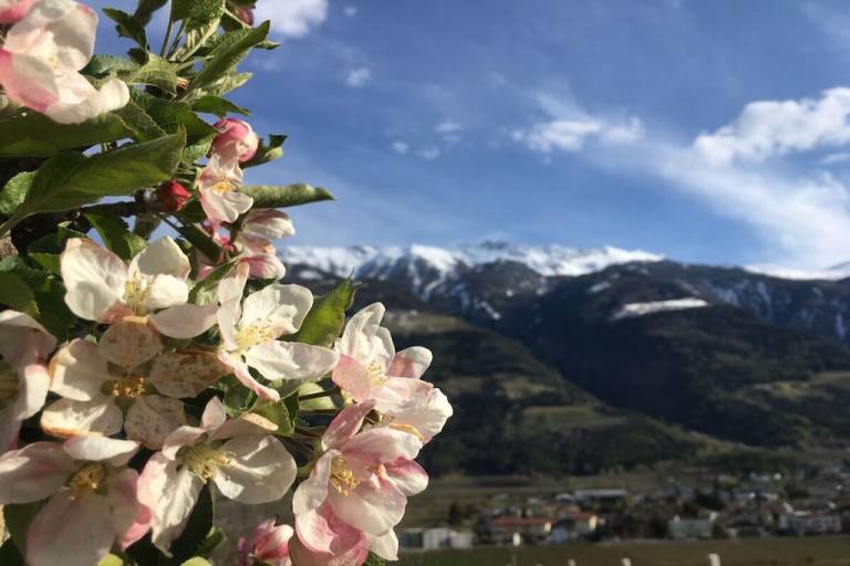 foto16
