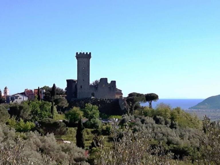 foto26