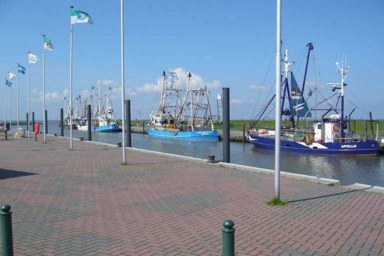 foto18