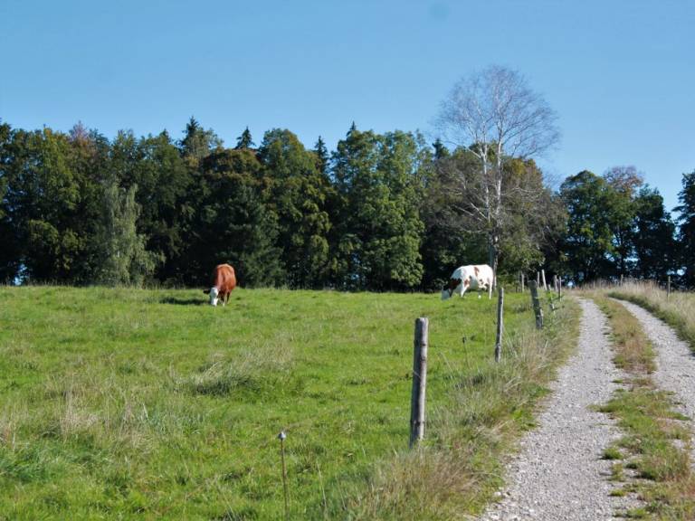 foto22