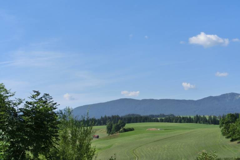foto17