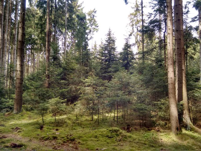 foto44