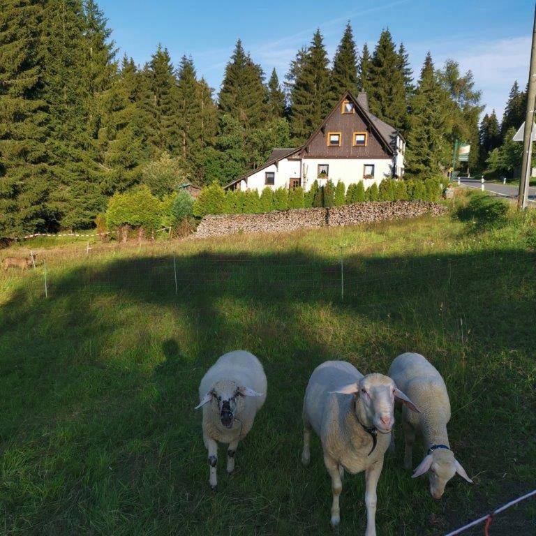 foto20