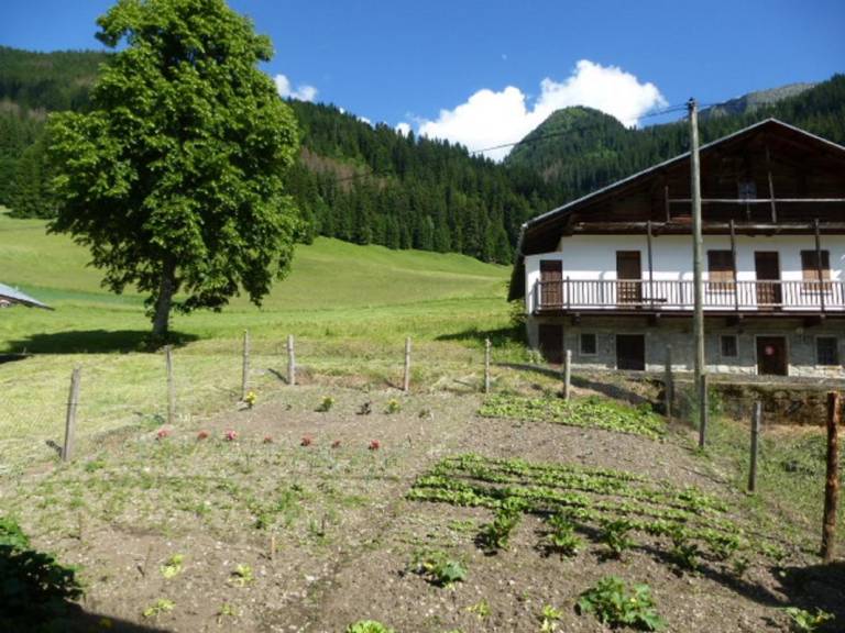 foto21