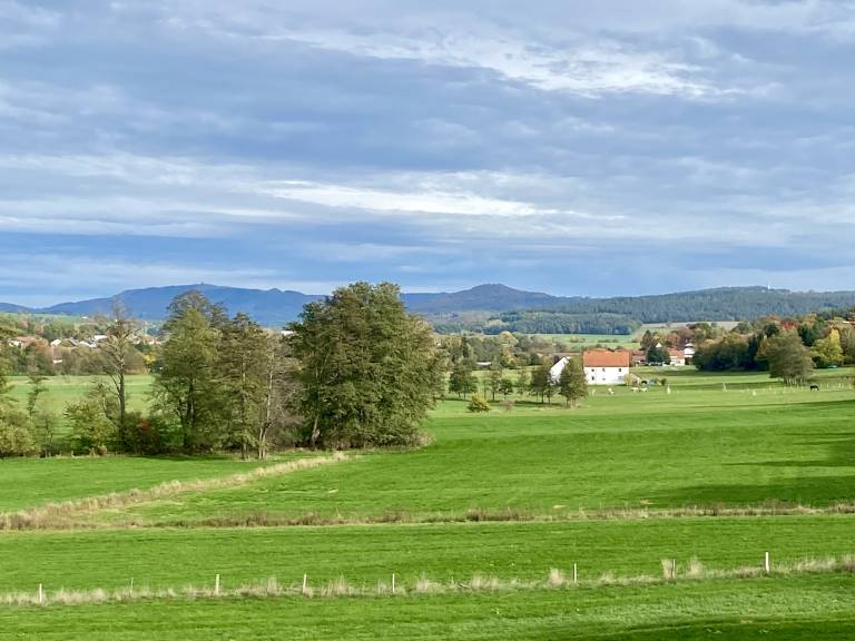 foto21