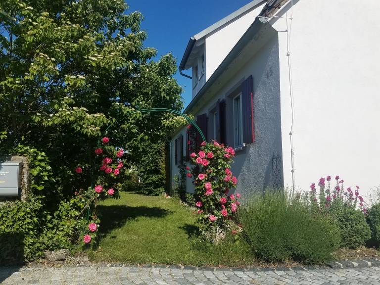 foto13