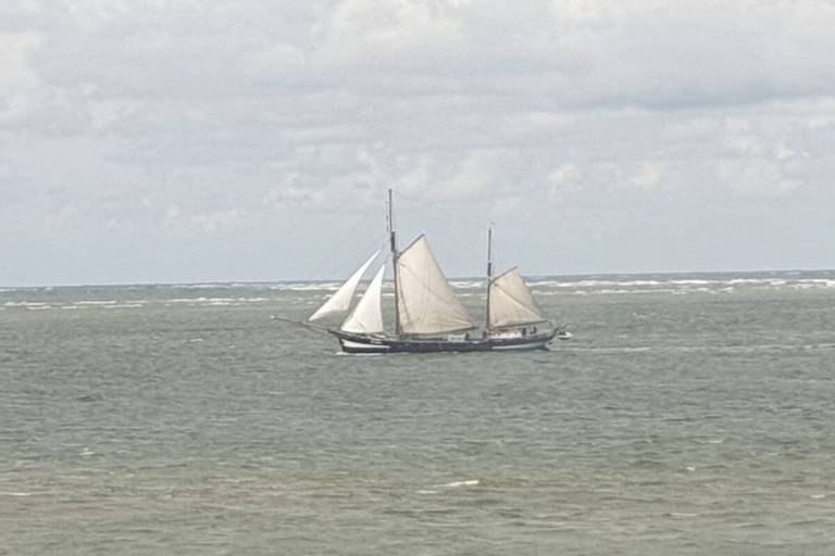 foto19