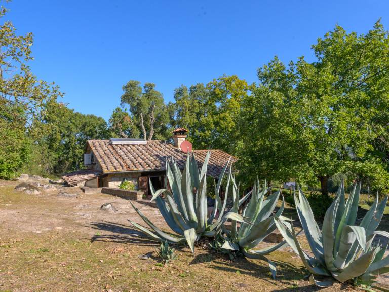foto29