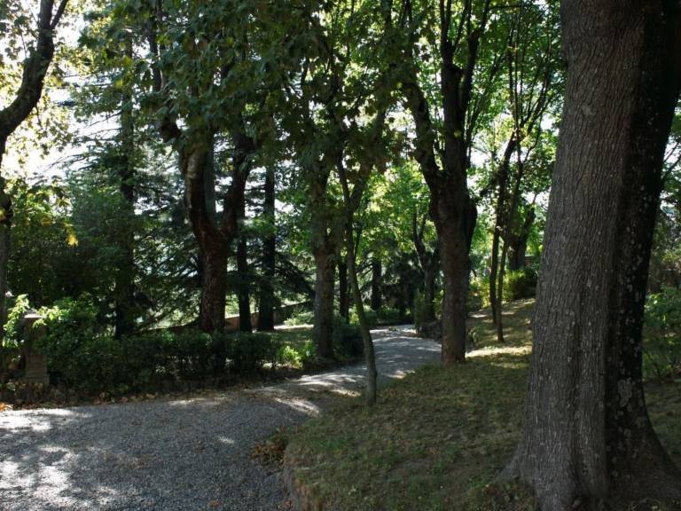 foto18