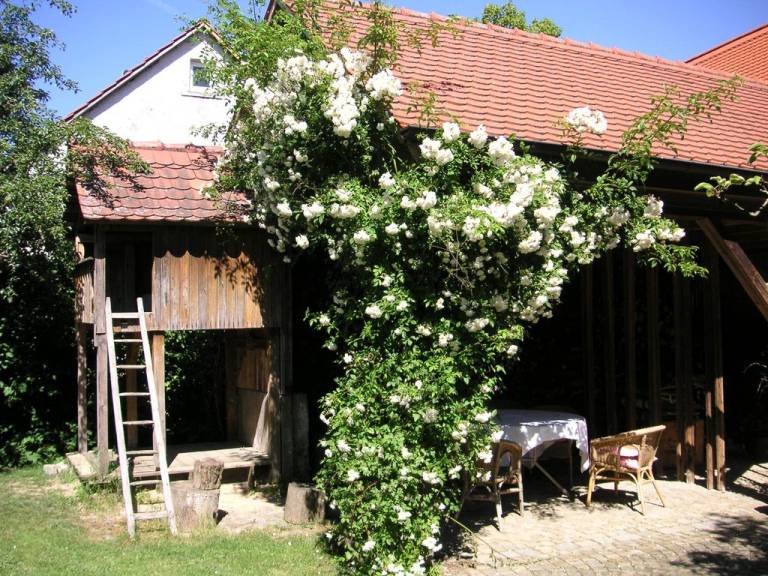 foto21