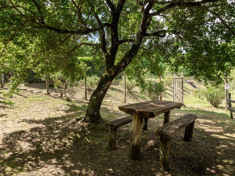 foto42