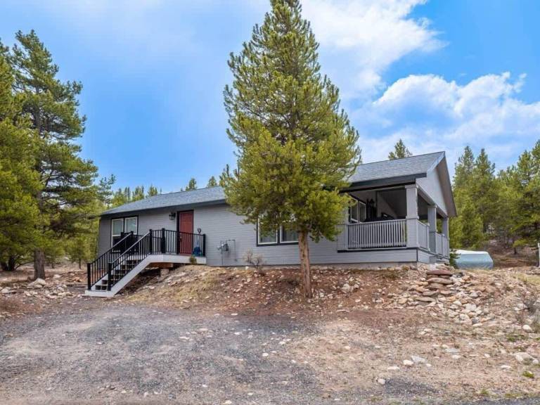 House Leadville