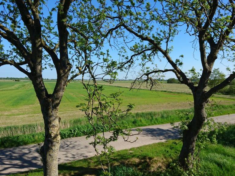 foto21