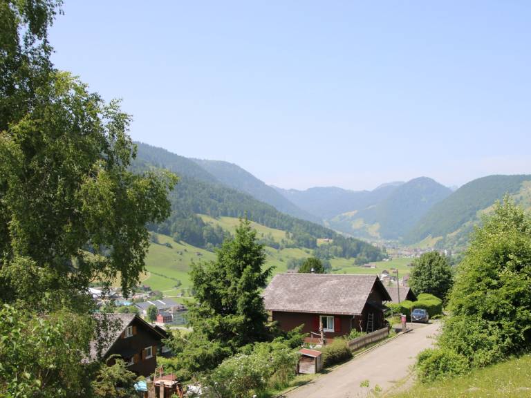 foto48