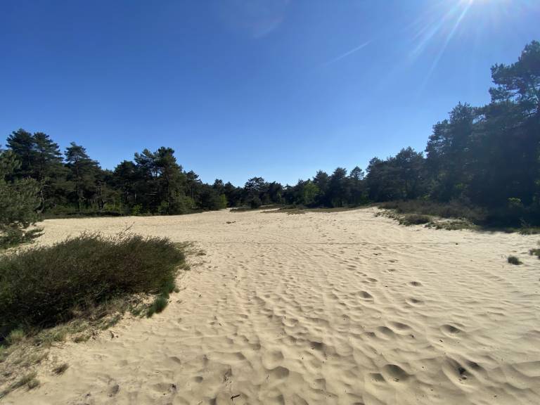 foto42