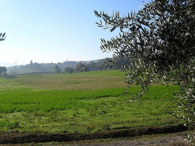 foto21