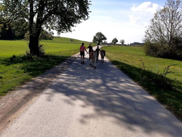 foto20