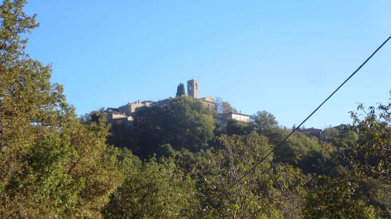 foto16