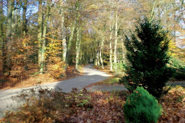 foto20