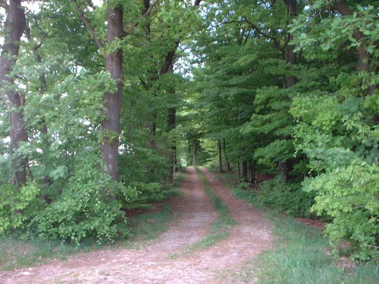 foto17