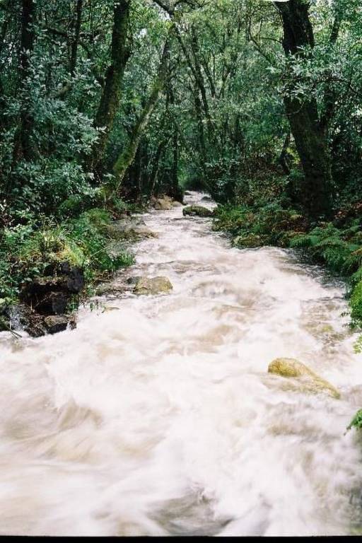foto19