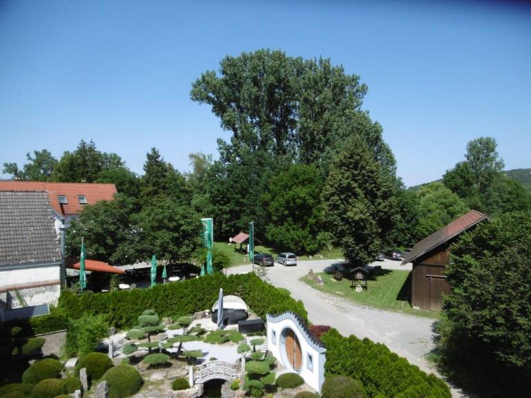 foto35
